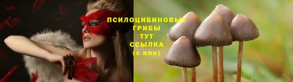 a pvp Нея
