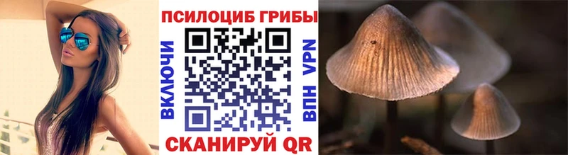 Галлюциногенные грибы прущие грибы  Купить где  Славск 